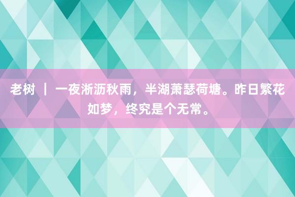 老树 ｜ 一夜淅沥秋雨，半湖萧瑟荷塘。昨日繁花如梦，终究是个无常。