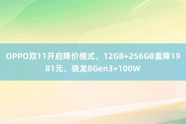 OPPO双11开启降价模式，12GB+256GB直降1981元，骁龙8Gen3+100W