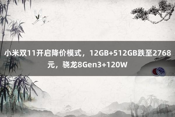 小米双11开启降价模式，12GB+512GB跌至2768元，骁龙8Gen3+120W