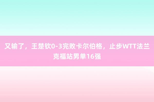 又输了，王楚钦0-3完败卡尔伯格，止步WTT法兰克福站男单16强