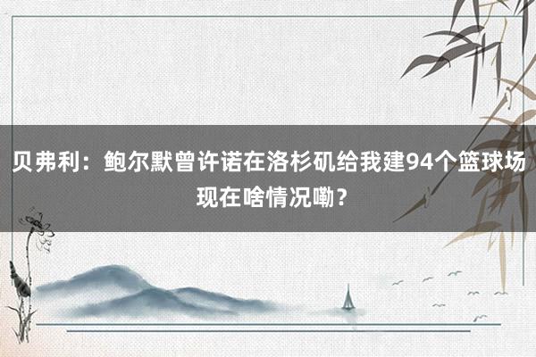 贝弗利：鲍尔默曾许诺在洛杉矶给我建94个篮球场 现在啥情况嘞？