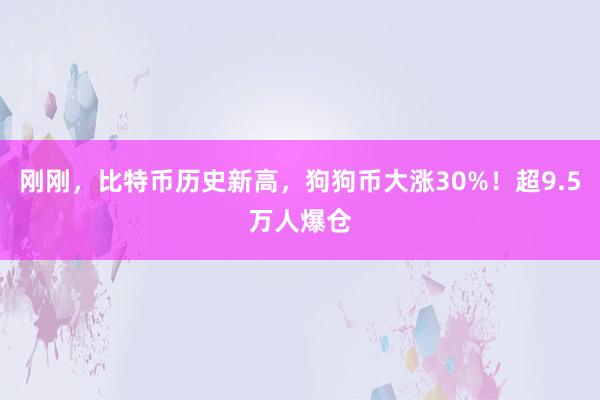 刚刚，比特币历史新高，狗狗币大涨30%！超9.5万人爆仓