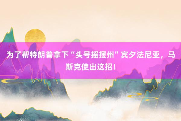 为了帮特朗普拿下“头号摇摆州”宾夕法尼亚，马斯克使出这招！