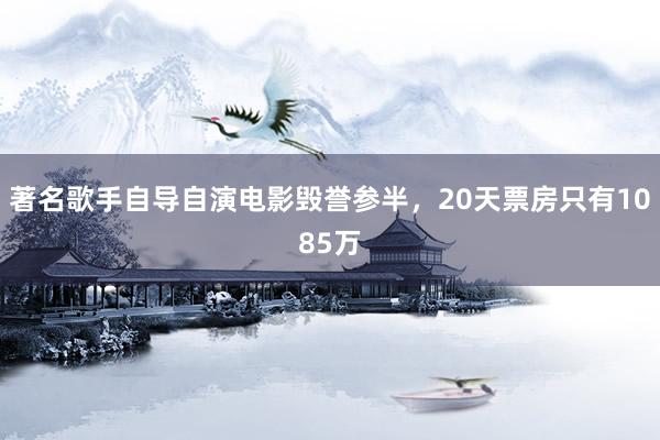 著名歌手自导自演电影毁誉参半，20天票房只有1085万