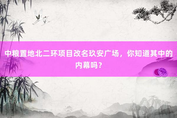 中粮置地北二环项目改名玖安广场，你知道其中的内幕吗？