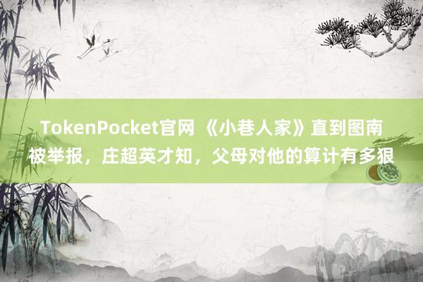 TokenPocket官网 《小巷人家》直到图南被举报，庄超英才知，父母对他的算计有多狠