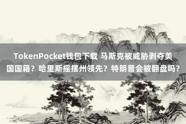 TokenPocket钱包下载 马斯克被威胁剥夺美国国籍？哈里斯摇摆州领先？特朗普会被翻盘吗？