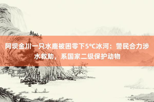 阿坝金川一只水鹿被困零下5℃冰河：警民合力涉水救助，系国家二级保护动物