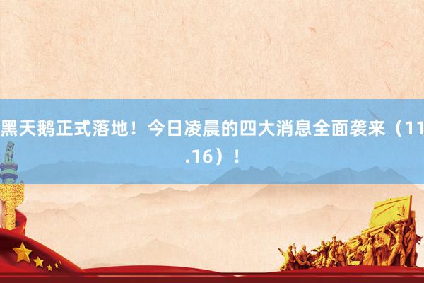 黑天鹅正式落地！今日凌晨的四大消息全面袭来（11.16）！