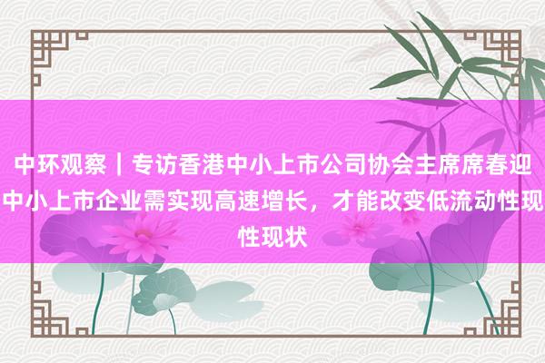 中环观察｜专访香港中小上市公司协会主席席春迎：中小上市企业需实现高速增长，才能改变低流动性现状