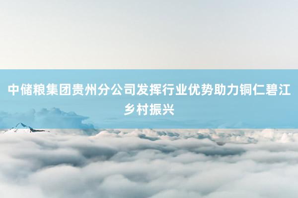 中储粮集团贵州分公司发挥行业优势助力铜仁碧江乡村振兴