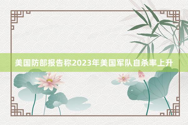 美国防部报告称2023年美国军队自杀率上升