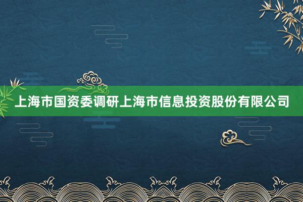 上海市国资委调研上海市信息投资股份有限公司