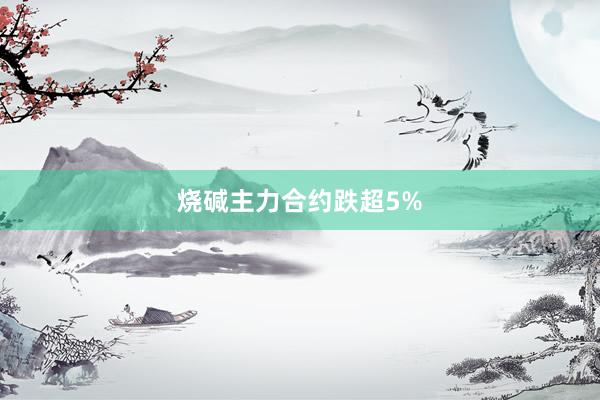 烧碱主力合约跌超5%