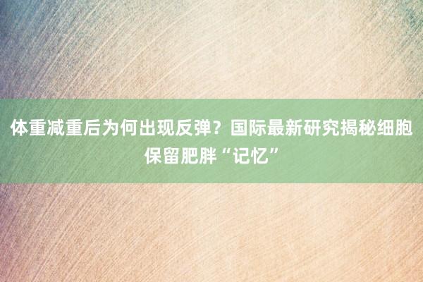 体重减重后为何出现反弹？国际最新研究揭秘细胞保留肥胖“记忆”