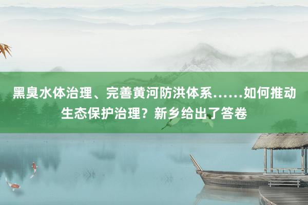 黑臭水体治理、完善黄河防洪体系……如何推动生态保护治理？新乡给出了答卷